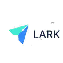 Service GSM Lark FreeMe X2 9