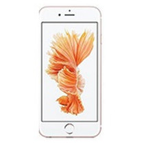 Service GSM Apple Touchscreen Apple iPhone 5 Alb