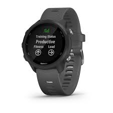 Service GSMGarmin Forerunner 245