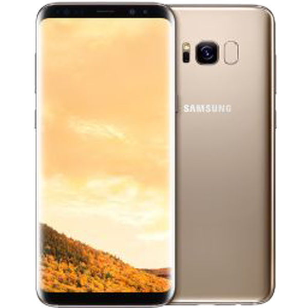 Samsung Galaxy S8+