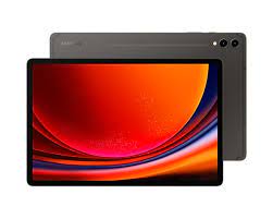 Piese Samsung Galaxy Tab S9+