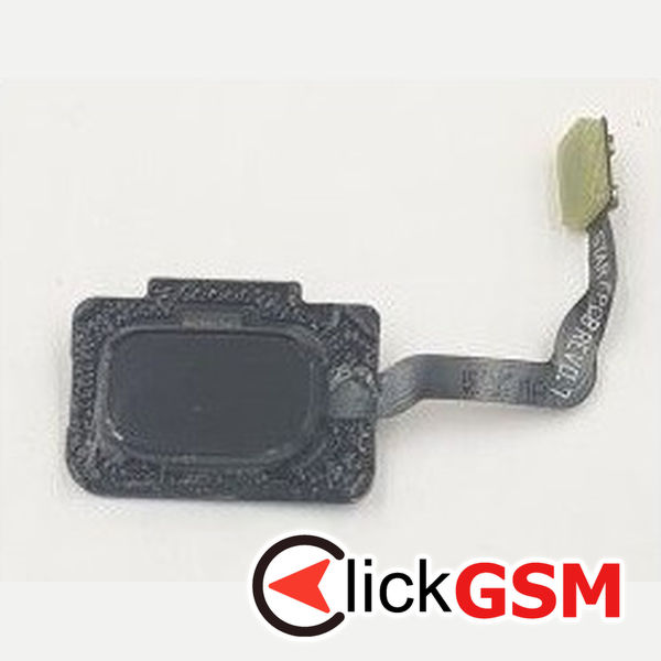 Piesa Piesa Buton Amprenta Albastru Samsung Galaxy S9 1u9n