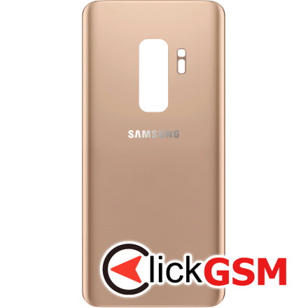 Capac Spate Auriu Samsung Galaxy S9+ e4r