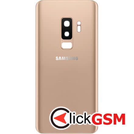 Capac Spate Gold Samsung Galaxy S9+ 3be4