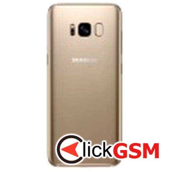 Capac Spate Samsung Galaxy S8