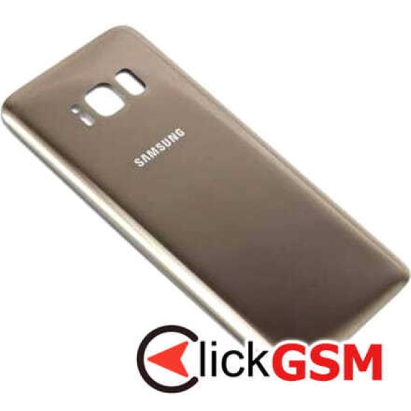 Capac Spate Samsung Galaxy S8