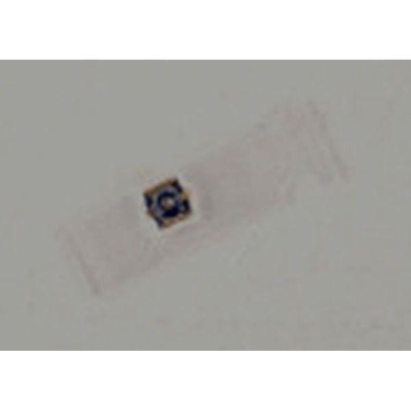 Conector Placa